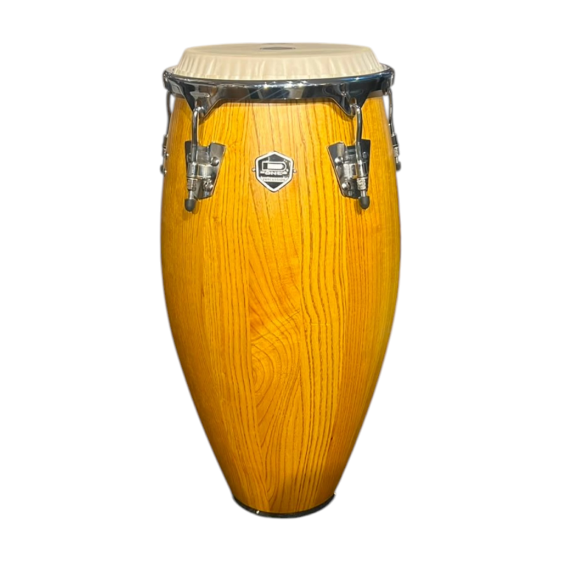 CONGA D-ONE HAVANA HN QUINTO